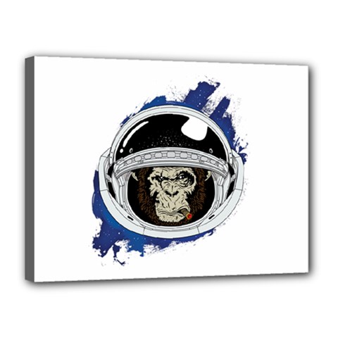 Spacemonkey Canvas 16  X 12  (stretched) by goljakoff