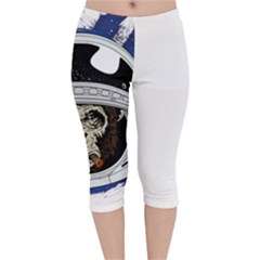 Spacemonkey Velvet Capri Leggings  by goljakoff