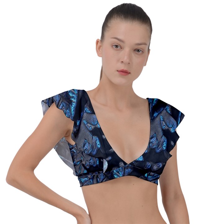 Sputnik Plunge Frill Sleeve Bikini Top