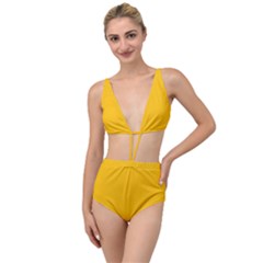 Amber Orange Tied Up Two Piece Swimsuit by FabChoice