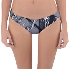 Ag Cobwebs Reversible Hipster Bikini Bottoms by MRNStudios