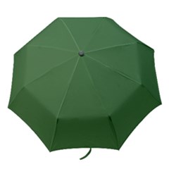 Basil Green Folding Umbrellas by FabChoice