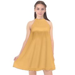 Bees Wax Orange Halter Neckline Chiffon Dress  by FabChoice