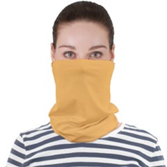 Bees Wax Orange Face Seamless Bandana (adult)