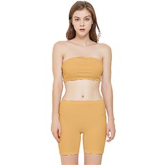 Bees Wax Orange Stretch Shorts And Tube Top Set