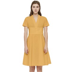 Bees Wax Orange Short Sleeve Waist Detail Dress