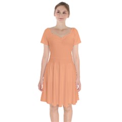 Cantaloupe Orange Short Sleeve Bardot Dress by FabChoice