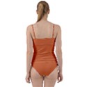 Coral Rose Sweetheart Tankini Set View2