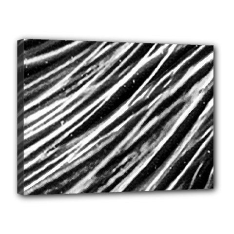 Galaxy Motion Black And White Print Canvas 16  X 12  (stretched)