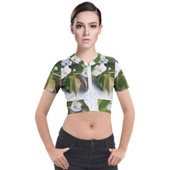 F69ccc07-4684-4c4d-951f-7f1801ec955e Short Sleeve Cropped Jacket