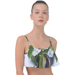 F69ccc07-4684-4c4d-951f-7f1801ec955e Frill Bikini Top by SychEva