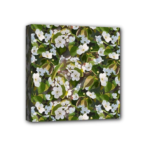 Blooming Garden Mini Canvas 4  X 4  (stretched) by SychEva