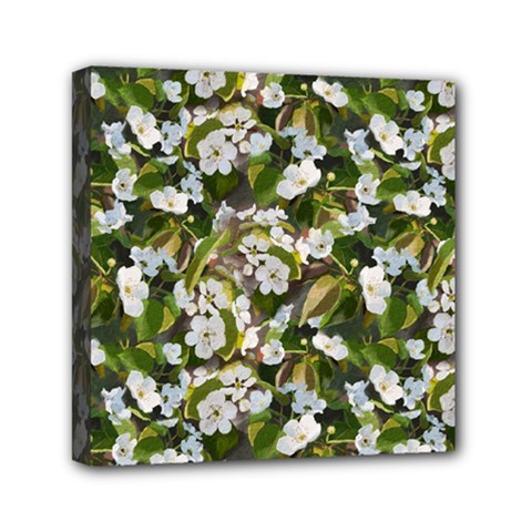 Blooming Garden Mini Canvas 6  X 6  (stretched)