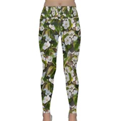 Blooming Garden Lightweight Velour Classic Yoga Leggings by SychEva