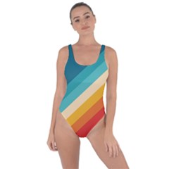 Classic Retro Stripes Bring Sexy Back Swimsuit by AlphaOmega