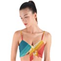 Classic Retro Stripes Woven Tie Front Bralet View1