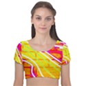 Pop Art Neon Wall Velvet Short Sleeve Crop Top  View1