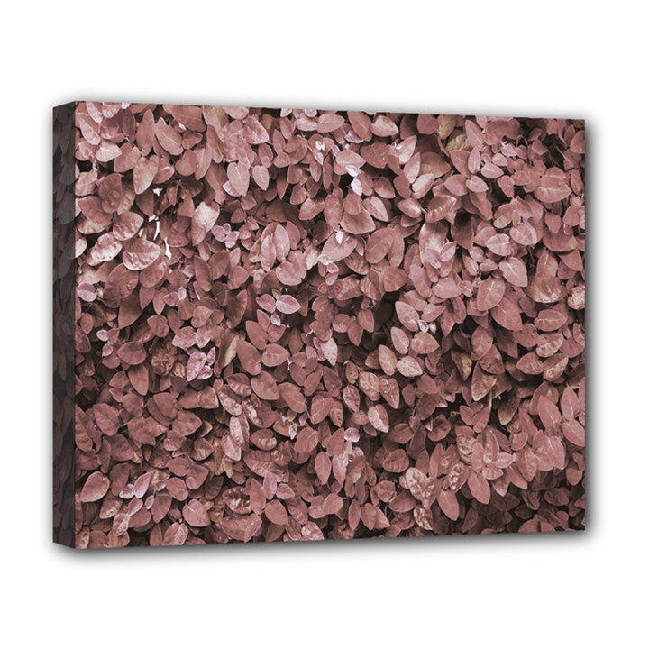 Red Leaves Photo Pattern Deluxe Canvas 20  x 16  (Stretched)