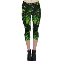 Jungle Camo Tropical Print Capri Leggings  by dflcprintsclothing