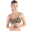 Modern Tropical Motif Print Tie Up Cut Bikini Top View1