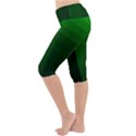 Zappwaits-green Lightweight Velour Cropped Yoga Leggings View2