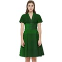 Zappwaits-green Short Sleeve Waist Detail Dress View1