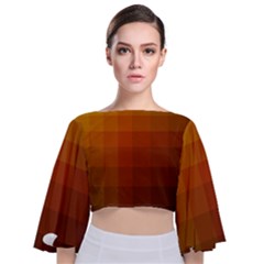 Zappwaits - Color Gradient Tie Back Butterfly Sleeve Chiffon Top by zappwaits