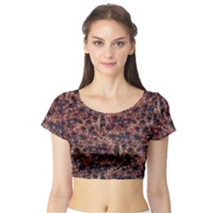 Warm Abstract Surface Print Short Sleeve Crop Top by dflcprintsclothing