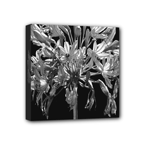 Black And White Lilies Botany Motif Print Mini Canvas 4  X 4  (stretched) by dflcprintsclothing