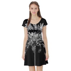 Black And White Lilies Botany Motif Print Short Sleeve Skater Dress by dflcprintsclothing