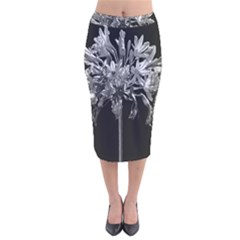 Black And White Lilies Botany Motif Print Velvet Midi Pencil Skirt by dflcprintsclothing