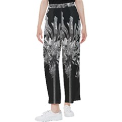 Black And White Lilies Botany Motif Print Women s Pants  by dflcprintsclothing