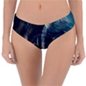 Pilot Light Reversible Classic Bikini Bottoms View1