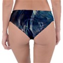 Pilot Light Reversible Classic Bikini Bottoms View2