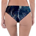 Pilot Light Reversible Classic Bikini Bottoms View4