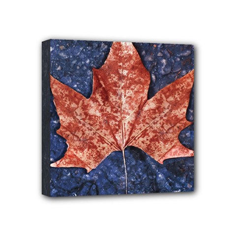 Wet Leaves Botanical Motif Photo Mini Canvas 4  X 4  (stretched) by dflcprintsclothing