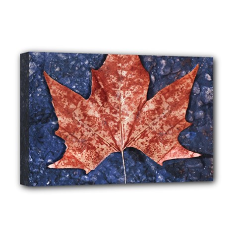 Wet Leaves Botanical Motif Photo Deluxe Canvas 18  X 12  (stretched) by dflcprintsclothing