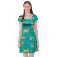 Cute Chihuahua Dogs Short Sleeve Skater Dress by SychEva