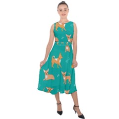 Cute Chihuahua Dogs Midi Tie-back Chiffon Dress by SychEva