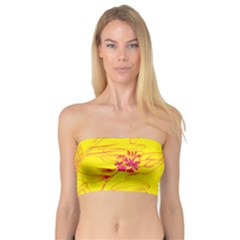 Floral Abstract Pattern Bandeau Top by designsbymallika