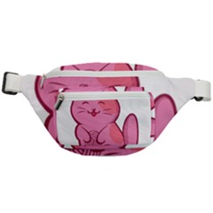 Photo 1607517624237 Fanny Pack