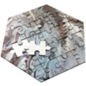 Painted feathers Wooden Puzzle Hexagon View3