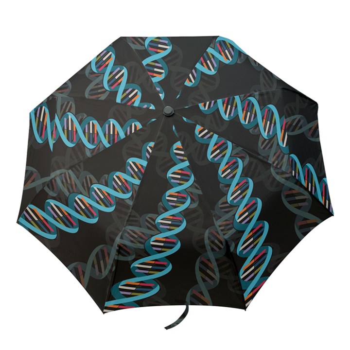 DNA Folding Umbrella