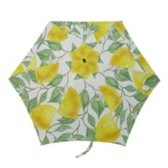 Vintage Lemons Mini Folding Umbrellas by SomethingForEveryone