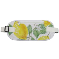 Vintage Lemons Rounded Waist Pouch