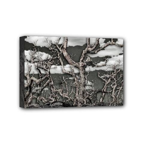 Dark Fantasy Landscape Poster Mini Canvas 6  X 4  (stretched) by dflcprintsclothing