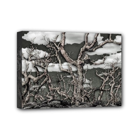 Dark Fantasy Landscape Poster Mini Canvas 7  X 5  (stretched) by dflcprintsclothing