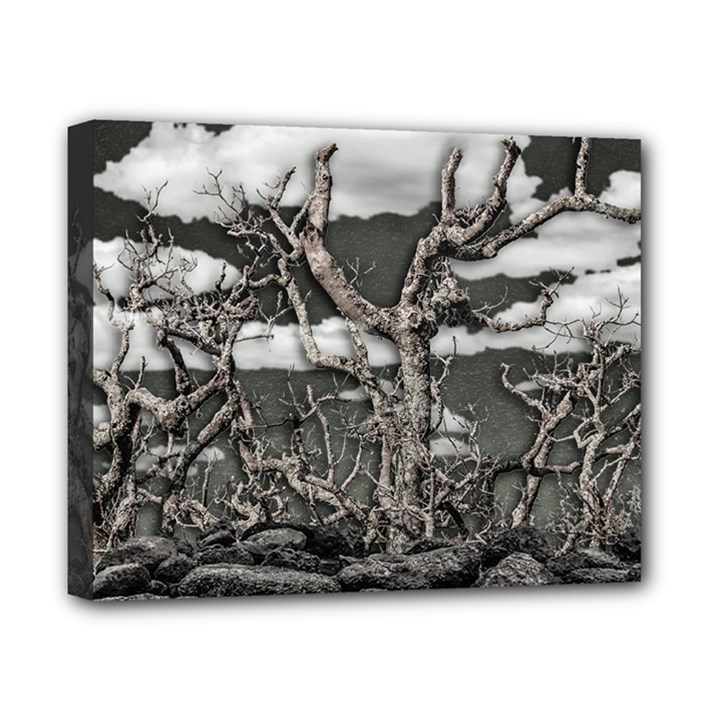 Dark Fantasy Landscape Poster Canvas 10  x 8  (Stretched)