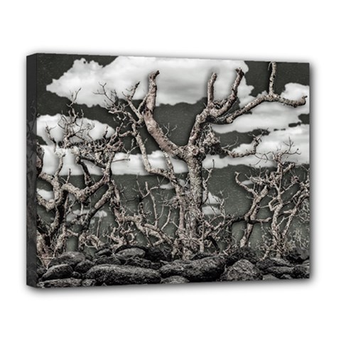 Dark Fantasy Landscape Poster Canvas 14  X 11  (stretched)