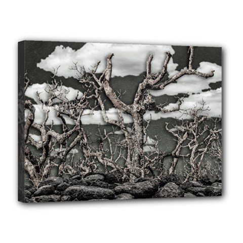 Dark Fantasy Landscape Poster Canvas 16  X 12  (stretched) by dflcprintsclothing